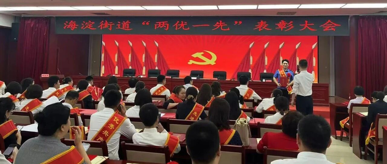 荣获先进基层党组织！民生智库党建工作再上新台阶